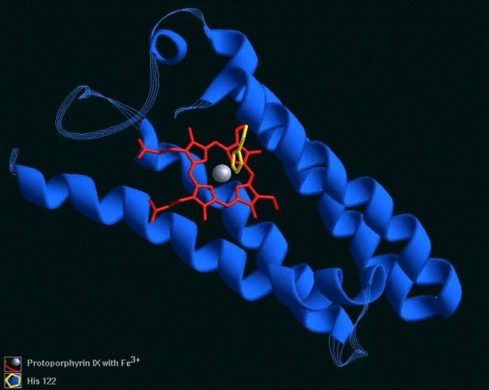 cytcprime - JPG - 90.jpg
